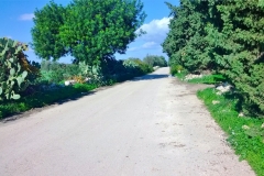 Vecchia strada per Vendicari